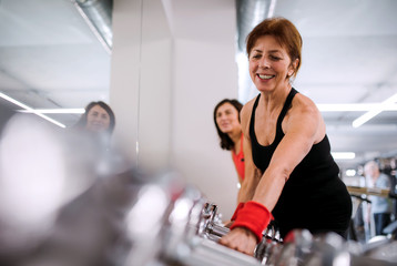 Fototapeta na wymiar Group of cheerful female seniors in gym doing exercise with dumbbells.