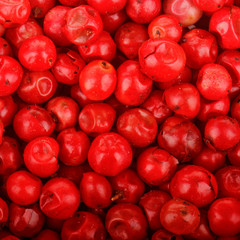 pink peppercorn background