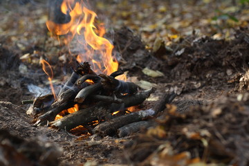 bonfire