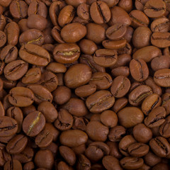 coffee beans background