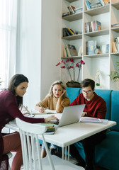 Classmates Studying Together