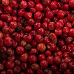 pink peppercorn background