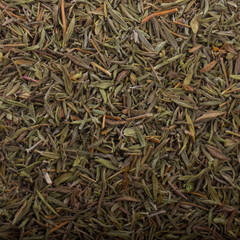 dried  thyme background