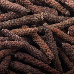  java pepper long background