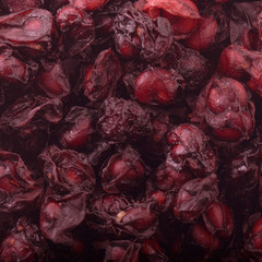 red Schisandra chinensis background