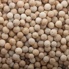 white peppercorn background