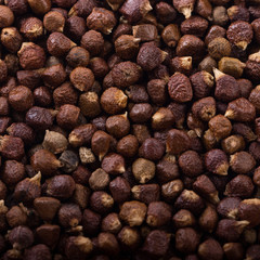 Grains of paradise background