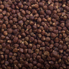 Grains of paradise background