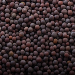 black mustard seeds background