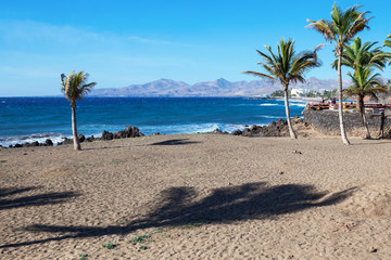 Fototapeta na wymiar Puerto del Carmen beach in Lanzarote, Canary islands, Spain. blue sea, palm trees, selective focus