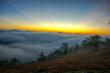 The sun growing up in an early morning at Da Lat city, nice view from top of pine hill, Under the sun, the fog became like gold 