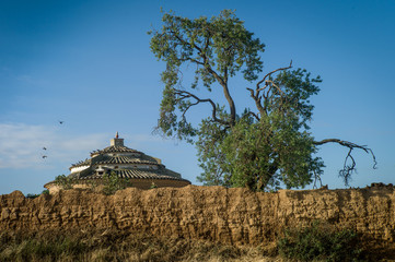 Palomar y ruinas de adobe