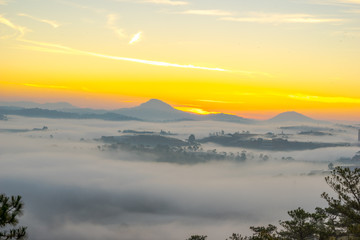 The sun growing up in an early morning at Da Lat city, nice view from top of pine hill, Under the sun, the fog became like gold 