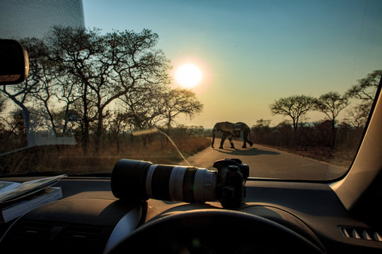 Sudafrica