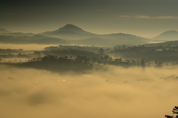 The sun growing up in an early morning at Da Lat city, nice view from top of pine hill, Under the sun, the fog became like gold 
