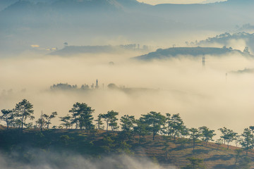 the fog and the sun in an early morning  at Da Lat city, the pine hill and greenhouse under the hill in mist