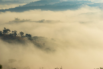 the fog and the sun in an early morning  at Da Lat city, the pine hill and greenhouse under the hill in mist