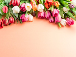 Colorful  bouquet of tulips on orange background.