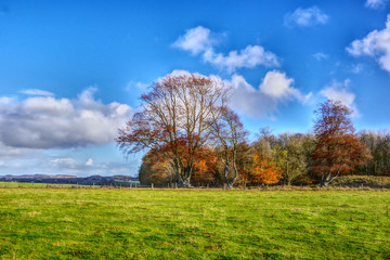 Fototapeta na wymiar Landscape view of monument area around Stonehenge.HDR. United Kingdom.