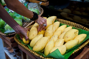 Female hands choose mango in which lie in the basket woven in the grocery store