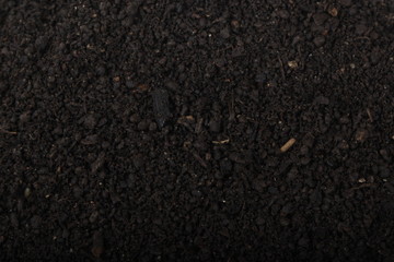 black ground background