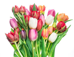 Colorful bouquet of tulips on white background.