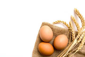 Eggs with wheat on a white background (easter concept)