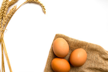 Eggs with wheat on a white background (easter concept)