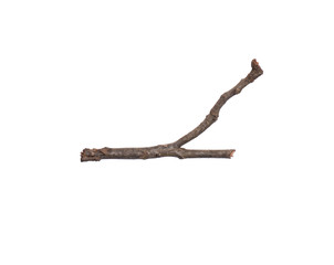 Single dry tree branch, isolated on white background. Stick tree branch from nature for design.