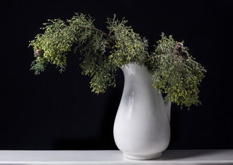 white ceramic vase with foliage