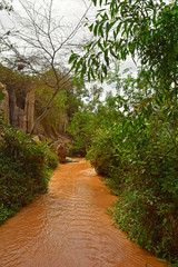 The Fairy Stream (Suoi Tien) in Mui Ne, Binh Thuan Province, Vietnam