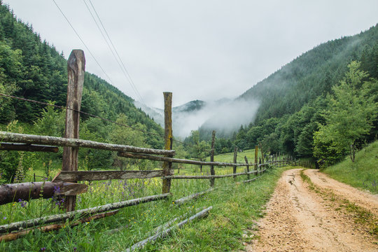 Old road with wood fence in the forest