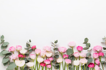 Beautiful colored ranunculus flowers on a white background.Spring greeting card.