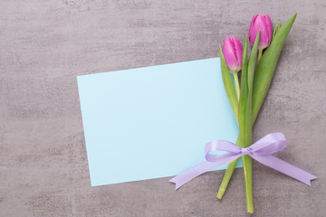 Fototapeta premium Spring greeting card, pink color tulips on the gray background.