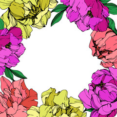 Vector Pink and yellow peony floral botanical flower. Engraved ink art. Frame border ornament square.