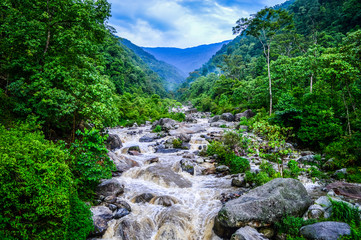Stream in the mountains, Lingtam, Sikkim, India