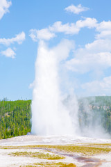 Yellowstone National Park in Wyoming and Montana, Old Faithful Geyser, USA