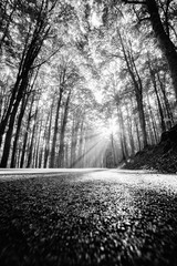 parco nazionale d'abruzzo