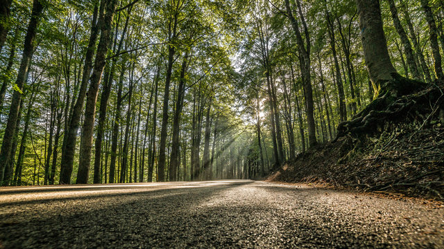 parco nazionale d'abruzzo