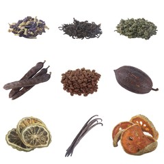 set of spices isolated on white background