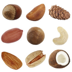 set of nuts isolated on white background