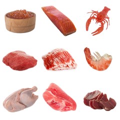 set of meat and fish isolated on white background