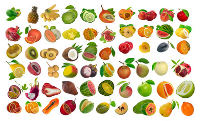 collection of fruits isolated on white background