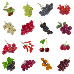 collection of berries on white background