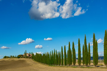 landscape of Tuscany nature  - countryside road with cypresses trees and old house