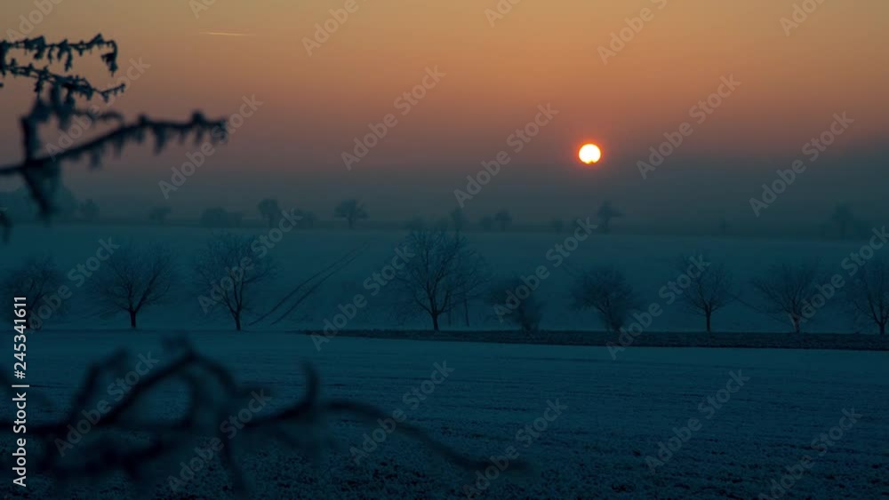 Poster sunset time lapse on a snowy landscape with fields and trees, a few branches are in the foreground, 