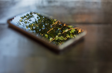 phone on wooden table screen in focus background artistic