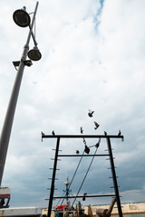 Silhouette of boat pole and equipments