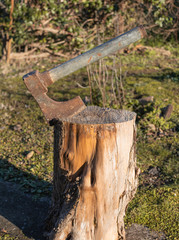 rusty steel axe embedded in a cut log