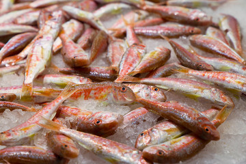 Salmonetes sobre hielo en el mercado